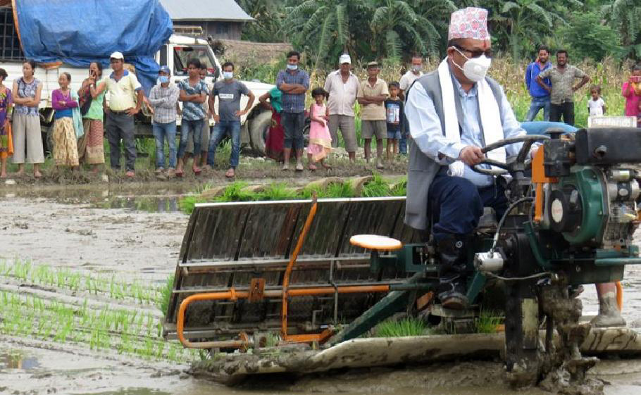 बागमती प्रदेशमा २३ प्रतिशत रोपाइँ